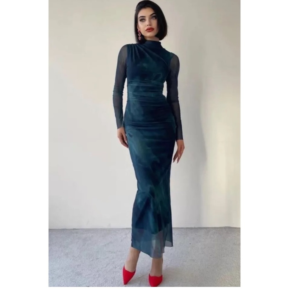 Zara tulle printed dress